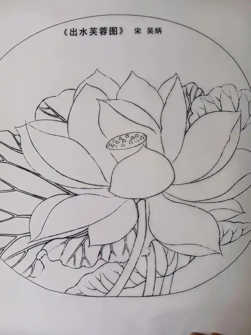 工笔画初学者临摹底稿,临摹打印稿,细节清晰,方便临摹#实拍图 - 抖音