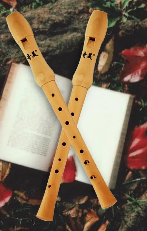 奇美中音英式竖笛八孔8孔全木质27g26b学生用初学者德式高音竖笛27g1