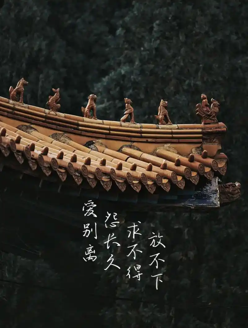 佛说人生有八苦