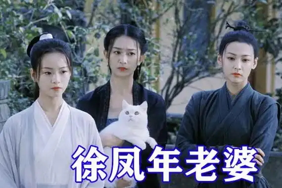 雪中悍刀行北椋结局公开三十二万大军战死徐凤年退隐独留满城遗孀