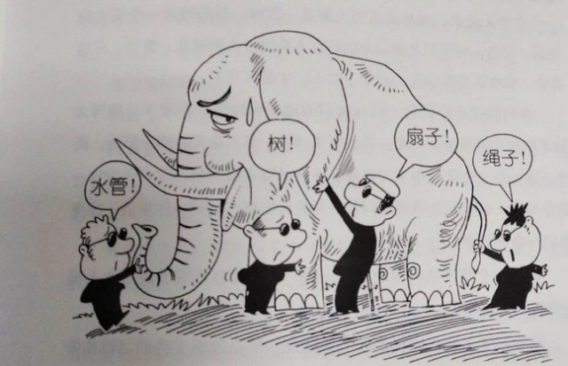 盲人摸象