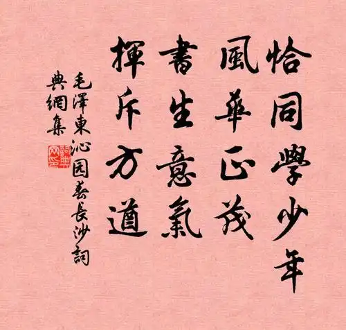 恰同学少年,风华正茂;书生意气,挥斥方遒.