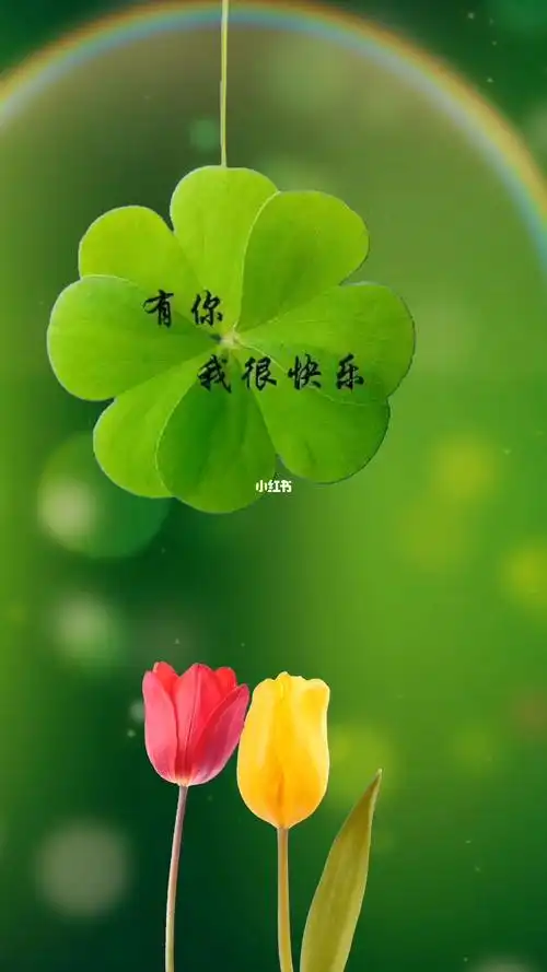 你给了我特别的感觉因为有你我很快乐文案壁纸动态壁纸