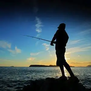 虎哥爱钓鱼头像