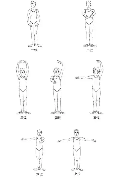 确立了芭蕾的基本脚位和手位,使芭蕾动作有了一套完整的体系