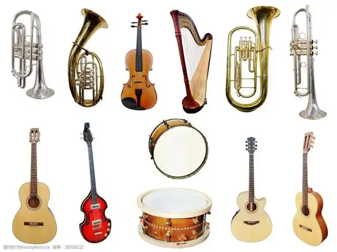 西洋乐器图片
