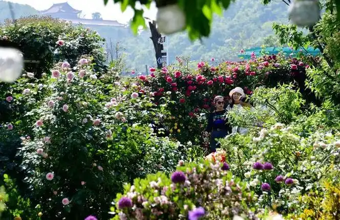 多多花园,花样多多,游客多多,多多美好.无锡锡山区锡北镇.
