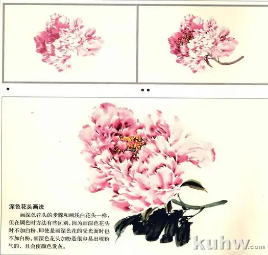 国画写意牡丹深色花头画法步骤