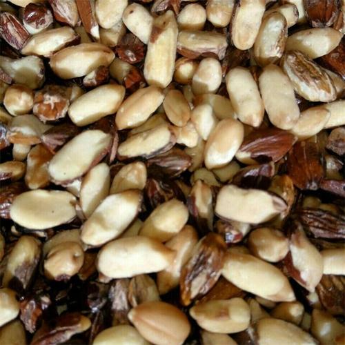 野生翅果油果仁翅果油榨油原料100克