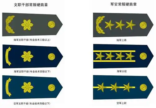 专业技术文职干部和军官的肩章对比
