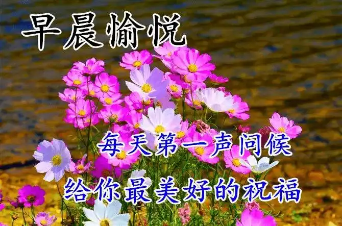 5张有创意的早上好表情图片带字推荐,温馨的早安图片带字带祝福语