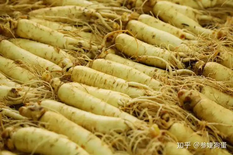 红参是:园鲜参蒸晒过程中进行梅拉德褐变反应而成!