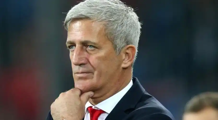 佩特科维奇) - 匠子生活