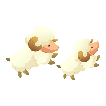 绵羊羊毛和动物