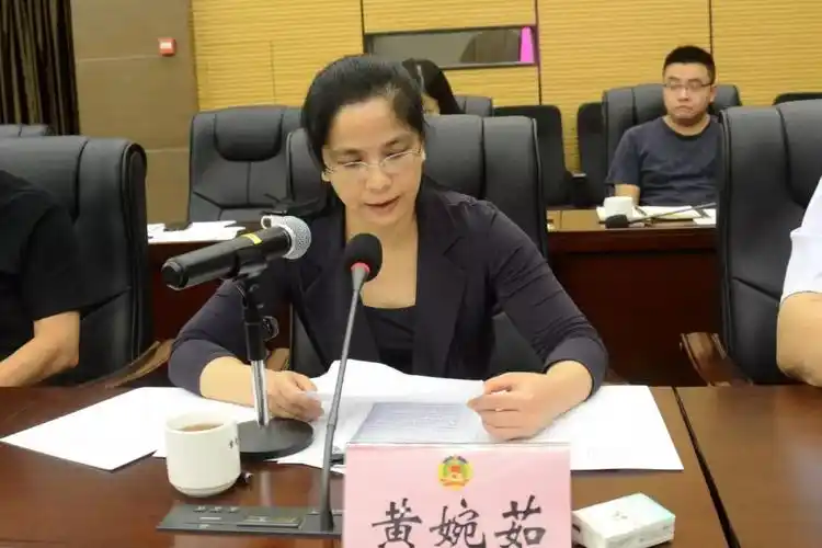 以更深层次的规划设计统筹推进"三旧"改造黄婉茹常委:建议:在"三旧"