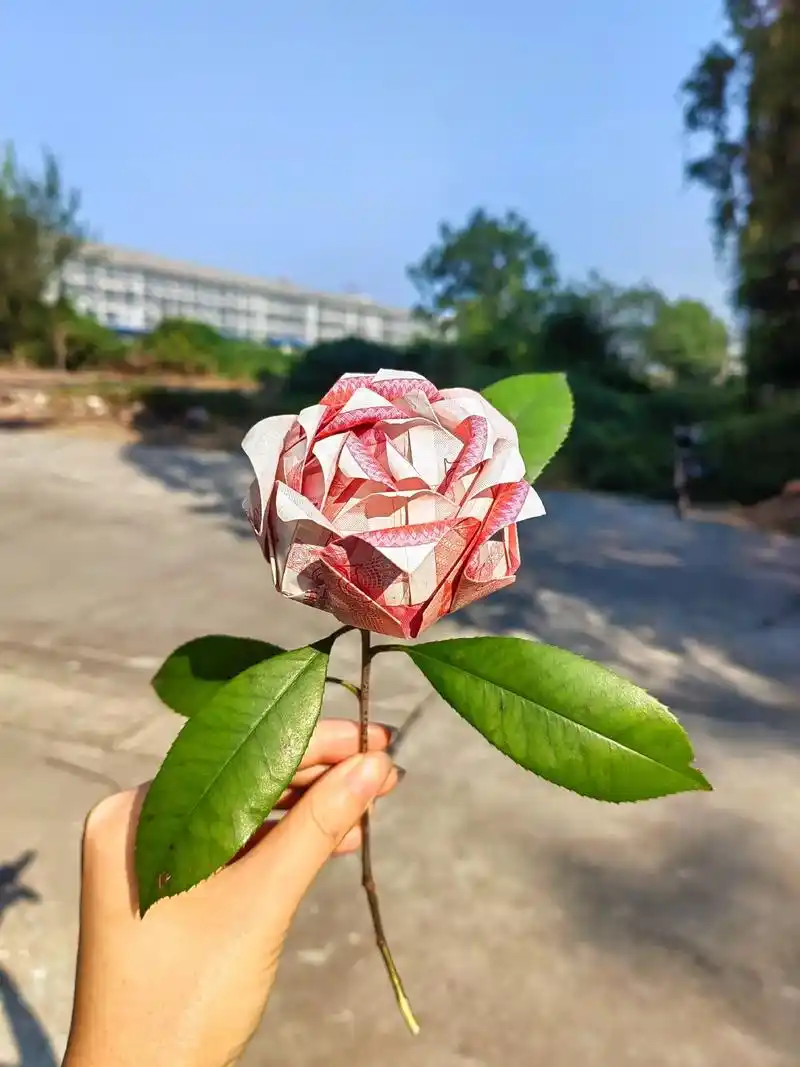 花是浪漫的代名词,人民币也是.#有钱花 #手工玫瑰花制作  - 抖音