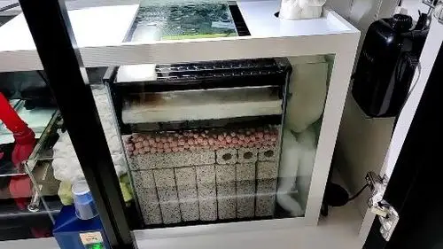 鱼缸底滤的过滤棉能这样泡在水里吗?