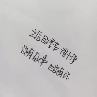 文字壁纸封面背景图,微信公众号(壁纸小猪)