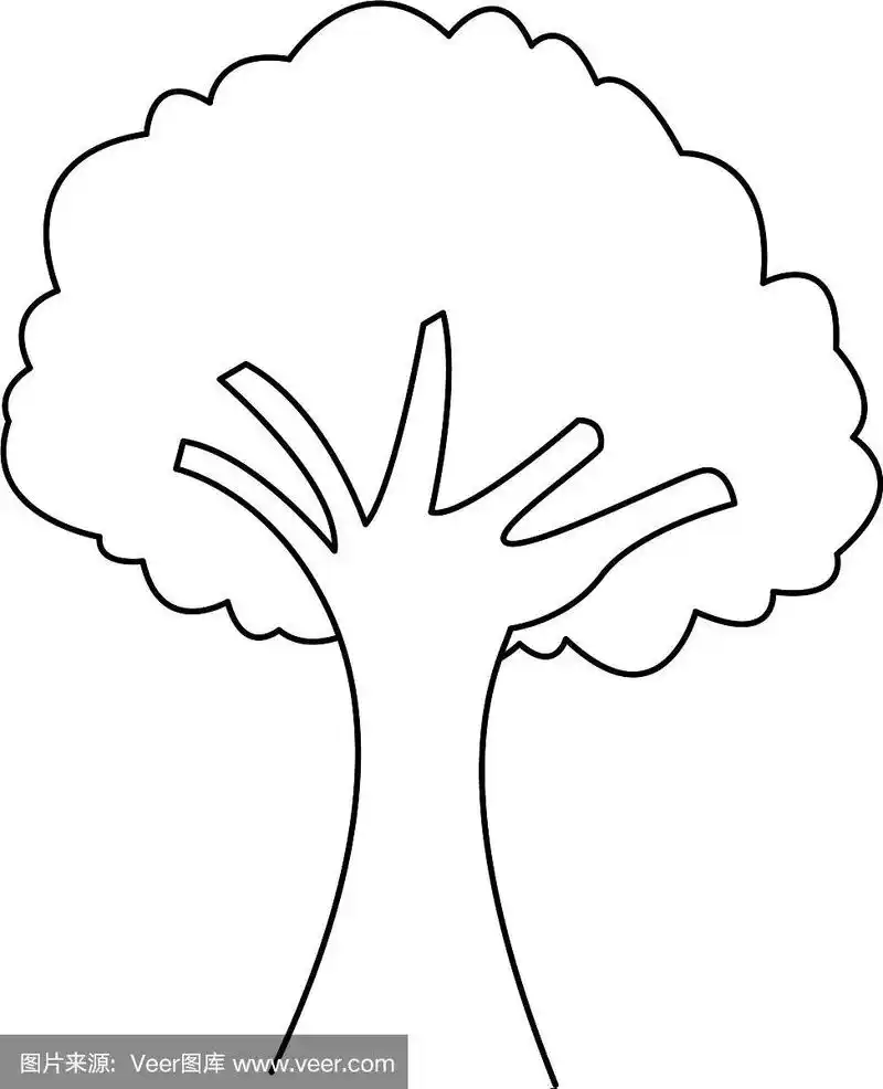 树木天然枝叶树干生态