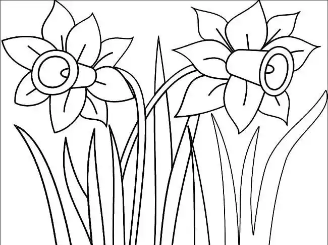 植物图片简笔画(身边的植物图片简笔画)