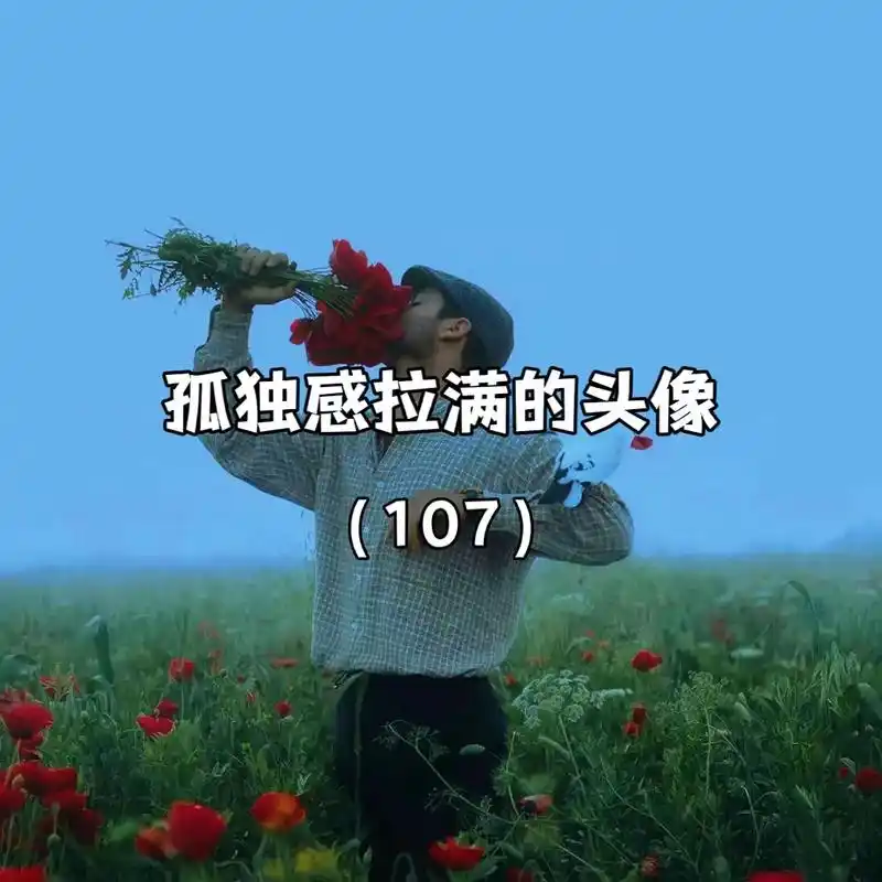 "一个人挺好,无非就是自由中带点孤独" #优质头像 #图文 - 抖音