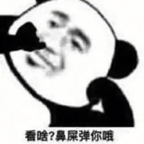 沙雕熊猫表情包