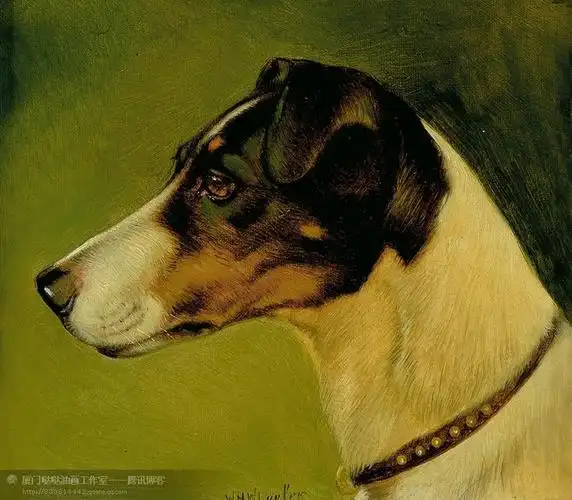 【高清】大师笔下的动物绘画欣赏(哒哒画室独家提供)