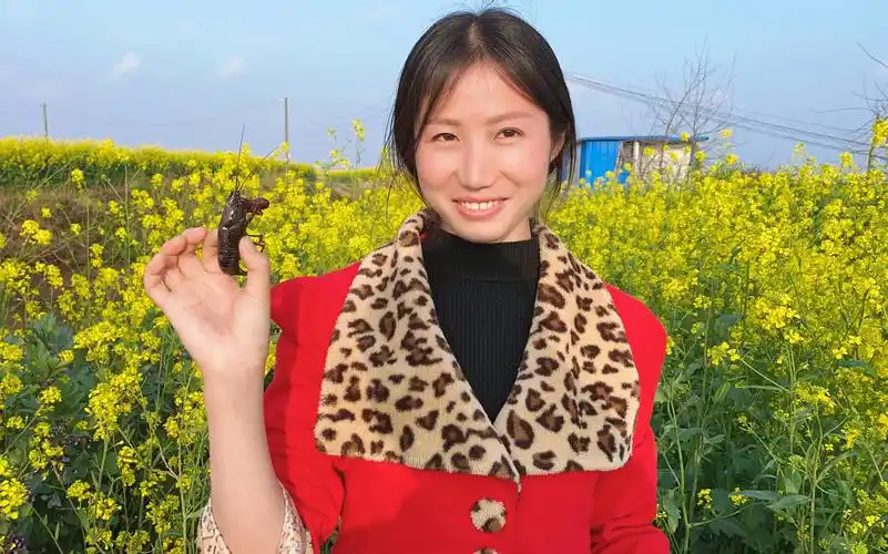 湖北妹子真胆大,居然敢徒手抓小龙虾,一般的姑娘家不敢吧?