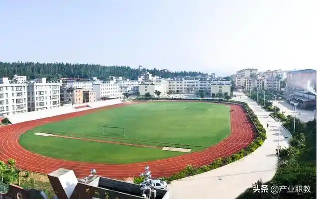 武定一中2017年高考成绩(建校459年)