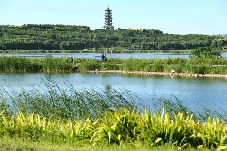石家庄滹沱河景区三青年溺亡?