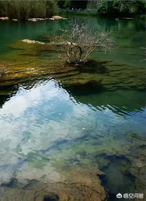 广西省哪些地方水质好? - 石塘网
