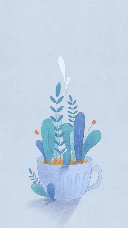 有什么干净清爽的壁纸