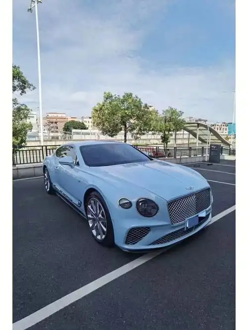 22年欧陆babyblue黑钢琴亚麻白太完美