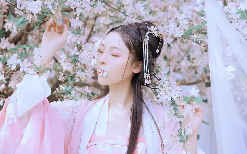 清新唯美古风美女写真桌面壁纸