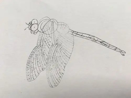 杨秀华工笔花鸟画教学课程【七】《蜻蜓图》局部临摹