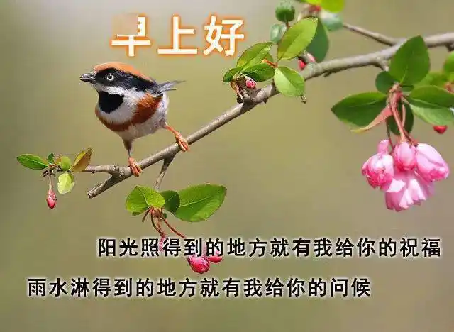 7月最新漂亮早上好问候语动态表情图片带字精选 2020新版早上好祝福语