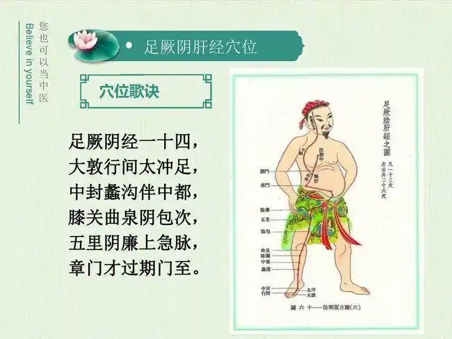 足厥阴肝经 |不生气