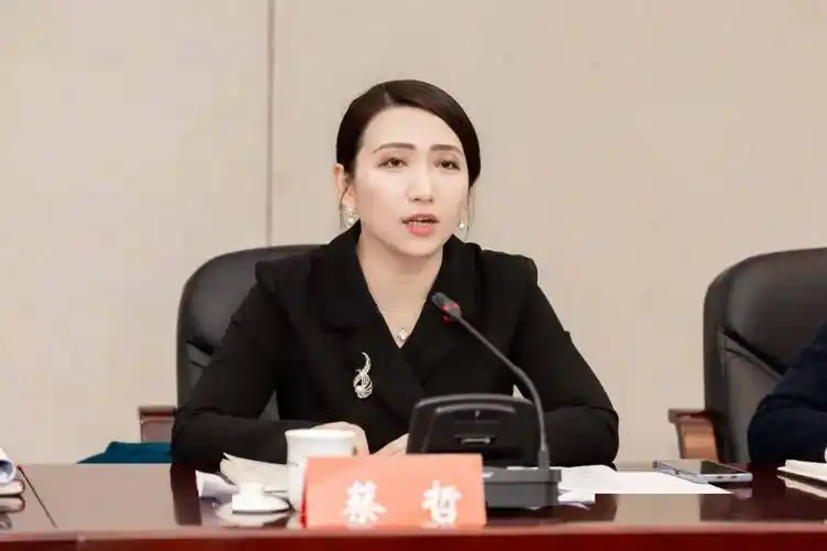 第七次望城区妇女儿童工作会议召开,蔡锋出席并讲话_发展_建设_事业