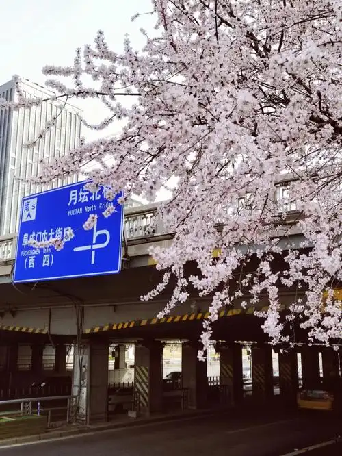 在疫情边缘疯狂试探