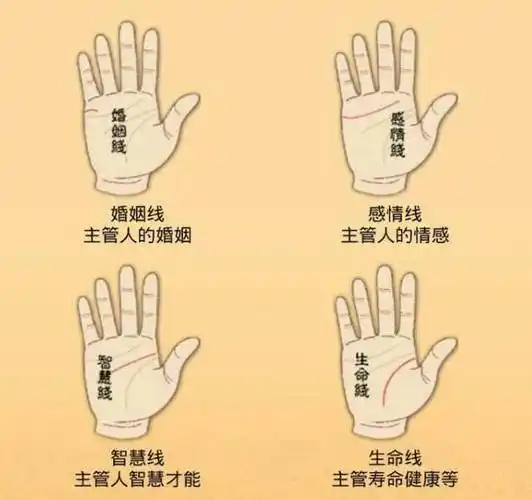 断掌一条线富贵不相欠是何意古人经验之谈现在还准吗