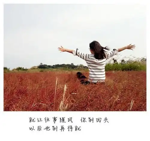 我厌倦了日复一日的生活,我想重新开始!