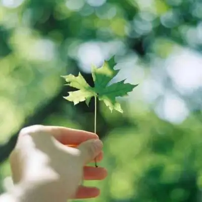 小清新唯美头像!