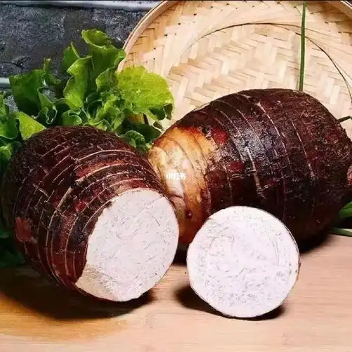 东北地区购买荔浦芋头