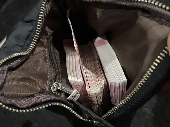 6万元被盗现金悉数追回经审讯,犯罪嫌疑人王某对其盗窃陈女士车内现金