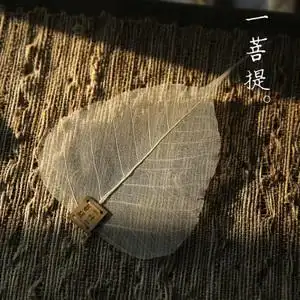 纯手工创意茶叶过滤网 一叶一菩提 禅意茶漏茶道配