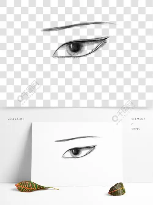 丹凤眼眼睛手绘水墨古风