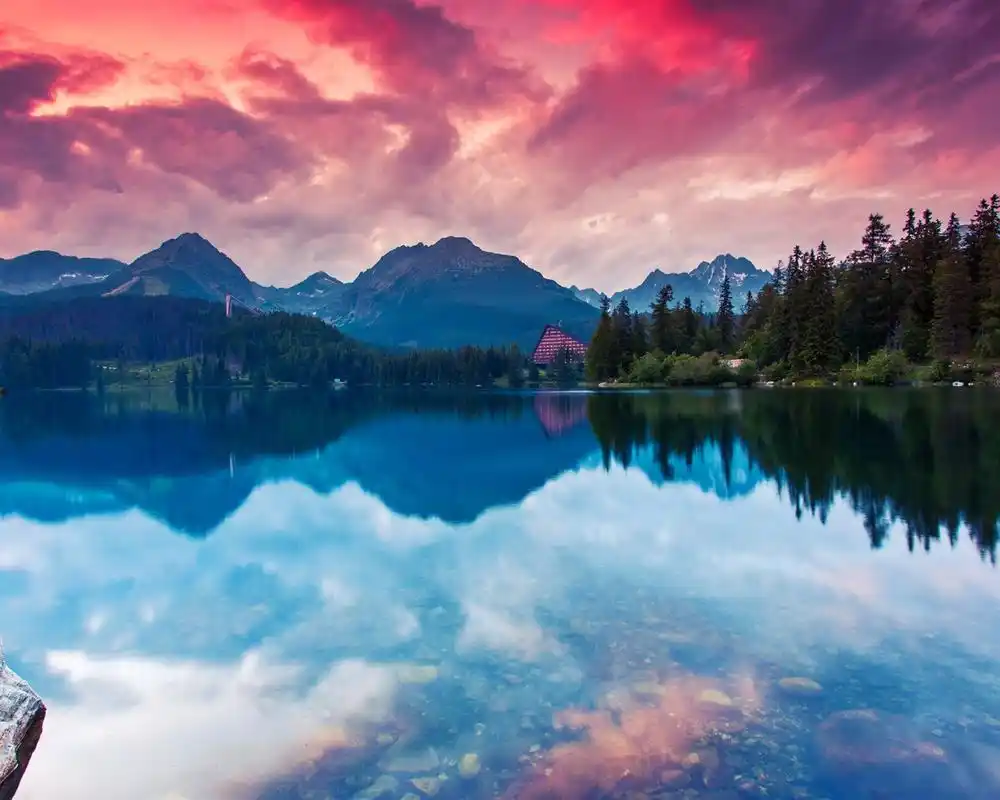 10wallpaper 风景 壁纸 原始森林自然风光高清照片桌面壁纸 >>壁纸