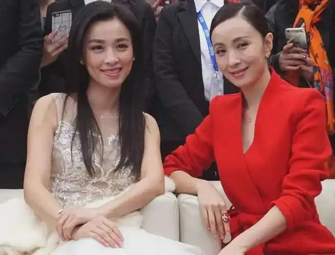 差点违法被抓后,陶虹,又回来了|徐峥|张庭|林瑞阳|娱乐圈_网易订阅