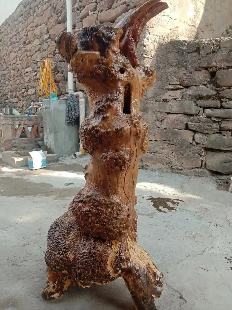 天然根雕  打磨加工精品花盆架子.#只有照片能记录这份珍贵  - 抖音