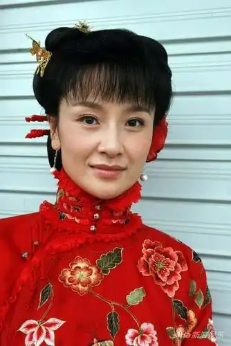 资料电视剧梨花泪主演孙宁介绍